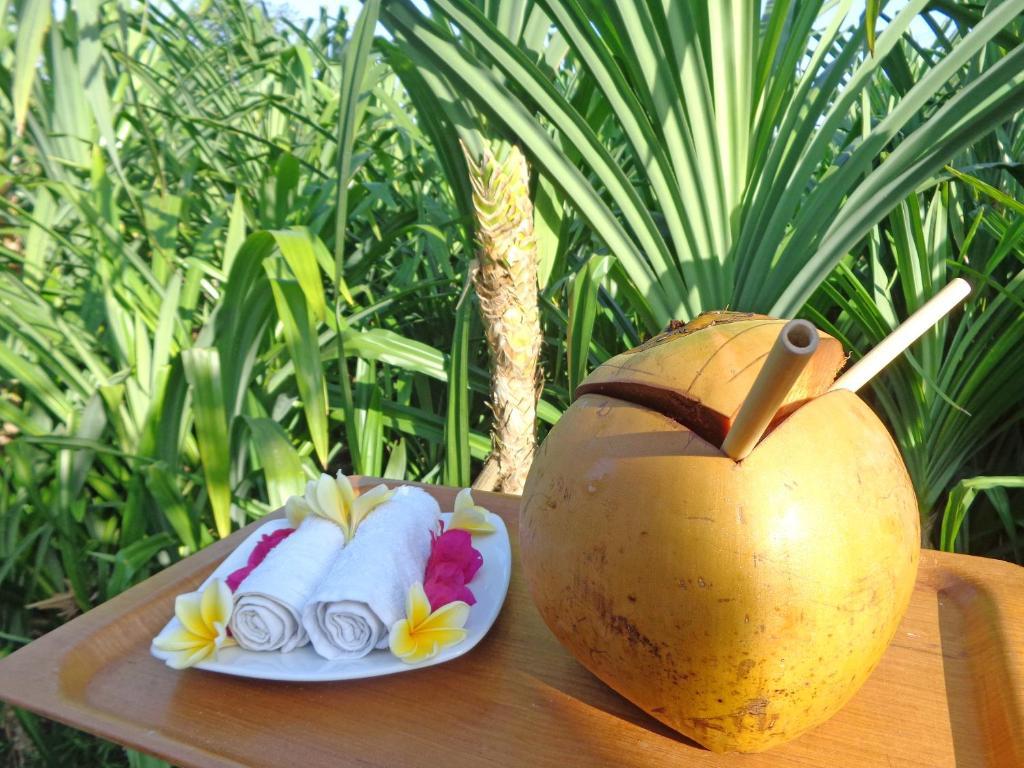 The Pandan Tree Villas Canggu  Ngoại thất bức ảnh
